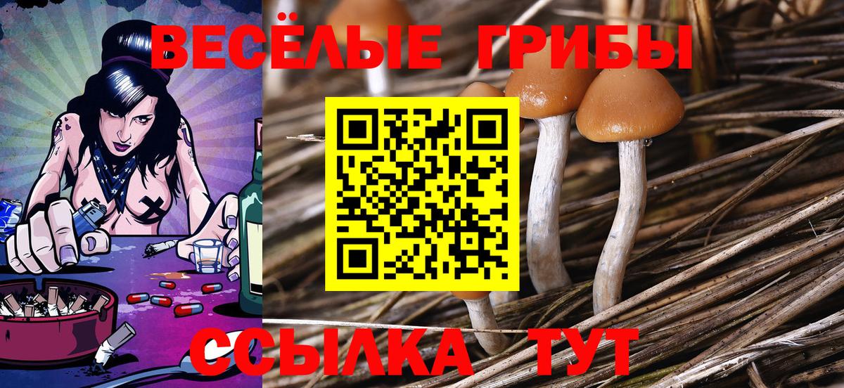 Балашиха  Галлюциногенные грибы Psilocybe  где купить наркотик  Вход с VPN 
