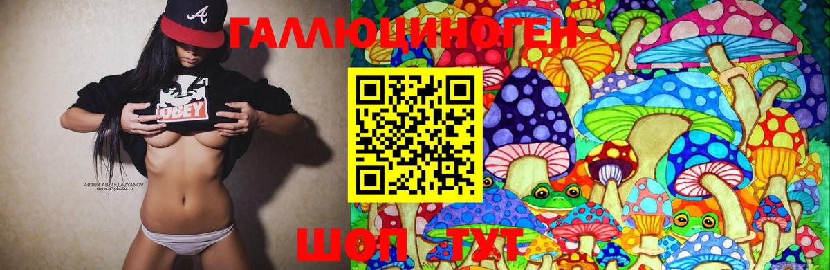 Псилоцибиновые грибы Cubensis Балашиха